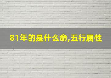 81年的是什么命,五行属性