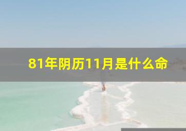 81年阴历11月是什么命