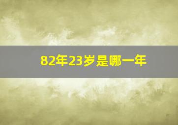 82年23岁是哪一年