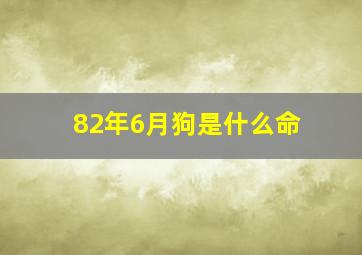 82年6月狗是什么命