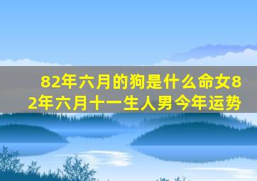 82年六月的狗是什么命女82年六月十一生人男今年运势