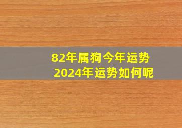 82年属狗今年运势2024年运势如何呢