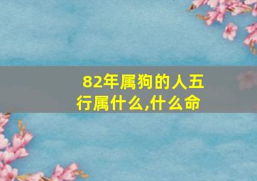 82年属狗的人五行属什么,什么命