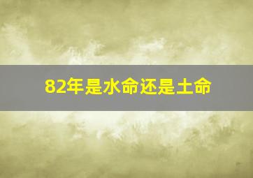 82年是水命还是土命