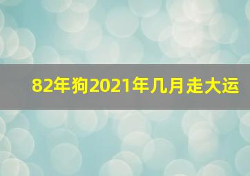 82年狗2021年几月走大运