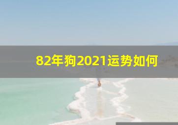 82年狗2021运势如何