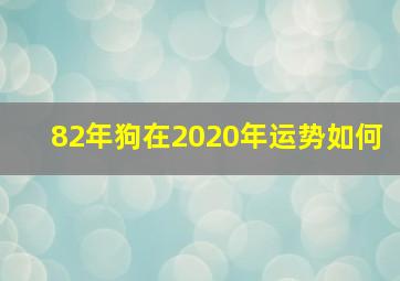 82年狗在2020年运势如何