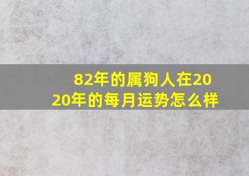 82年的属狗人在2020年的每月运势怎么样