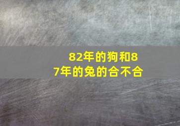 82年的狗和87年的兔的合不合