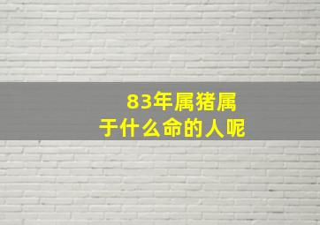 83年属猪属于什么命的人呢