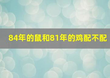 84年的鼠和81年的鸡配不配