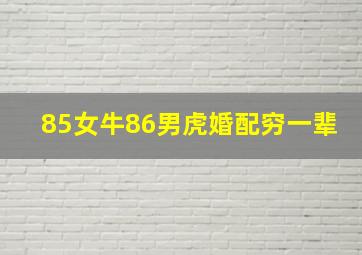 85女牛86男虎婚配穷一辈