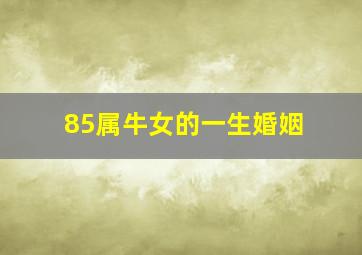 85属牛女的一生婚姻