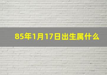 85年1月17日出生属什么