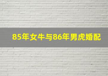 85年女牛与86年男虎婚配