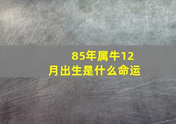 85年属牛12月出生是什么命运