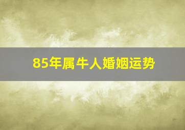 85年属牛人婚姻运势