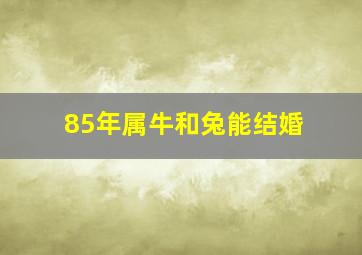 85年属牛和兔能结婚