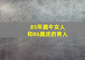 85年属牛女人和86属虎的男人