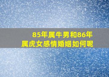 85年属牛男和86年属虎女感情婚姻如何呢