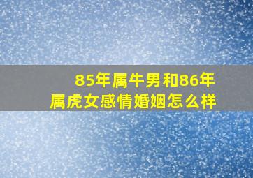 85年属牛男和86年属虎女感情婚姻怎么样