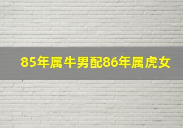 85年属牛男配86年属虎女