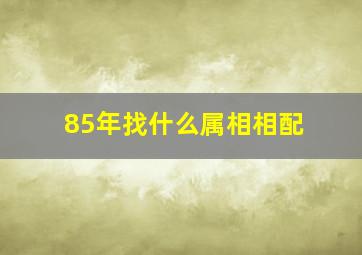 85年找什么属相相配