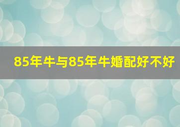 85年牛与85年牛婚配好不好