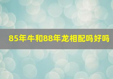 85年牛和88年龙相配吗好吗