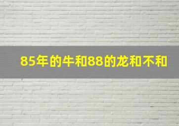 85年的牛和88的龙和不和