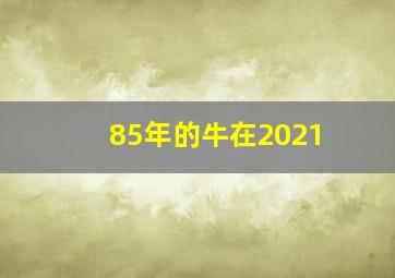 85年的牛在2021