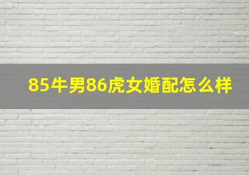 85牛男86虎女婚配怎么样