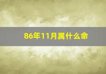 86年11月属什么命