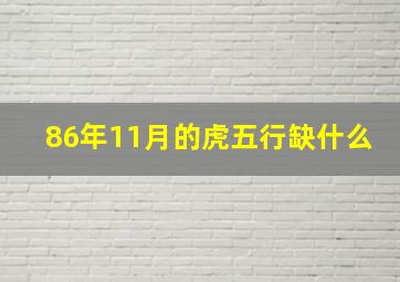 86年11月的虎五行缺什么