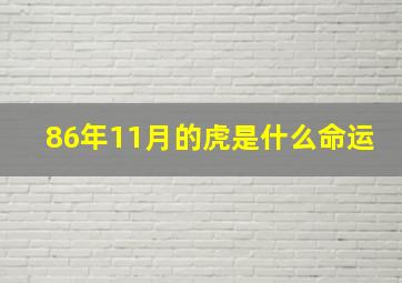 86年11月的虎是什么命运