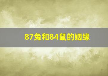 87兔和84鼠的姻缘