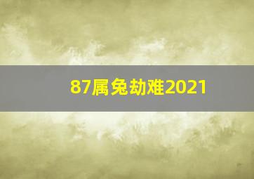 87属兔劫难2021