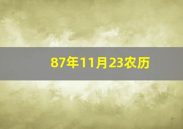 87年11月23农历