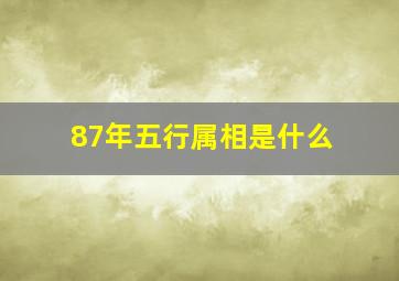 87年五行属相是什么