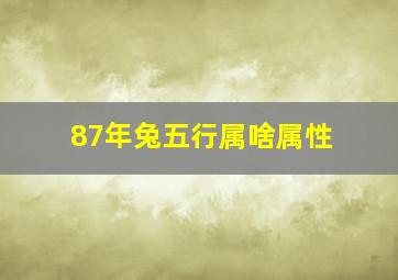 87年兔五行属啥属性