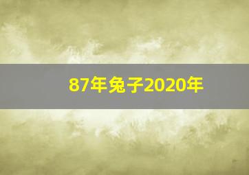 87年兔子2020年