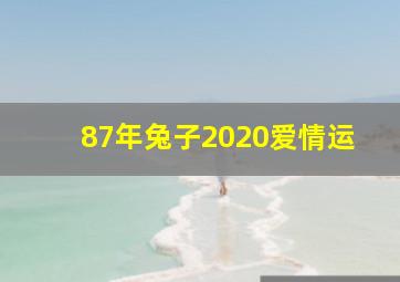 87年兔子2020爱情运