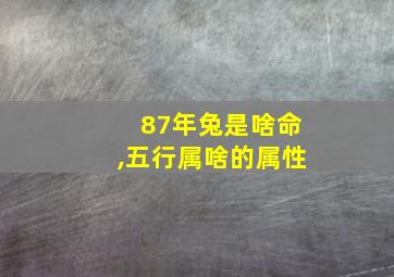 87年兔是啥命,五行属啥的属性