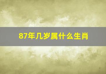 87年几岁属什么生肖