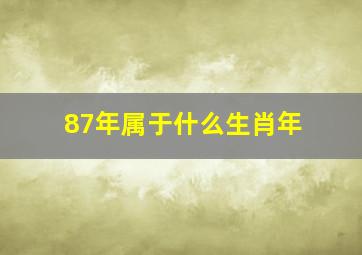 87年属于什么生肖年