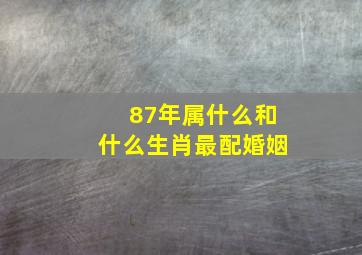 87年属什么和什么生肖最配婚姻