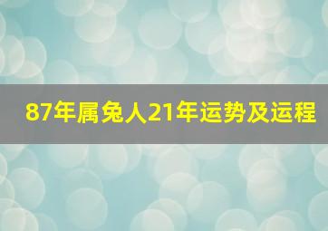 87年属兔人21年运势及运程