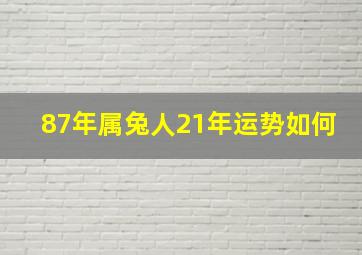 87年属兔人21年运势如何