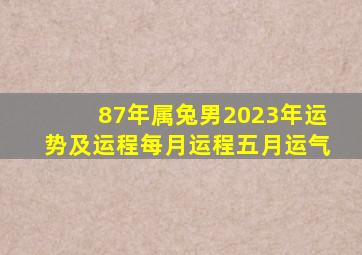 87年属兔男2023年运势及运程每月运程五月运气