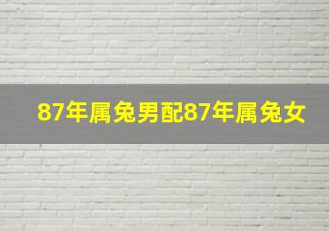 87年属兔男配87年属兔女